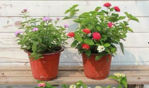 荣昌酒驾新闻爆料视频最新,最新视频爆料揭示惊人细节 第3张 荣昌酒驾新闻爆料视频最新,最新视频爆料揭示惊人细节 第3张