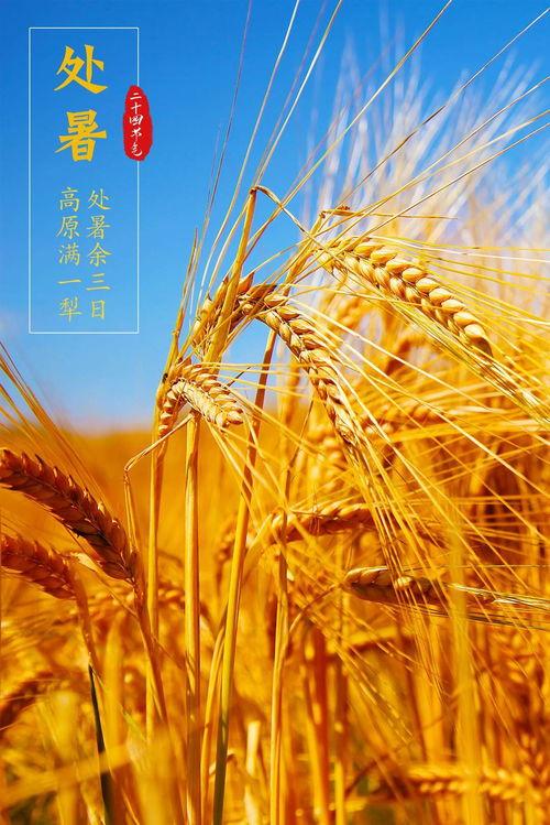 秋天的新闻爆料,新闻爆料聚焦秋季热点事件 第3张 秋天的新闻爆料,新闻爆料聚焦秋季热点事件 第3张